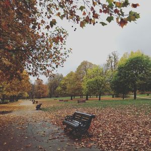 Empty park bench in park