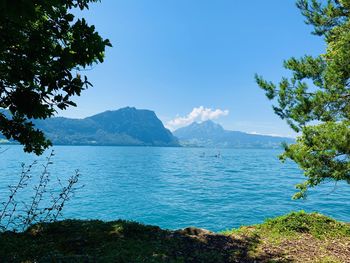 Scenic view of sea against blue sky