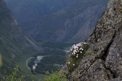 The greatness and beauty of the altai passes and gorges, the beauty floating in the air