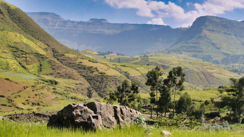 Scenic view of landscape against sky