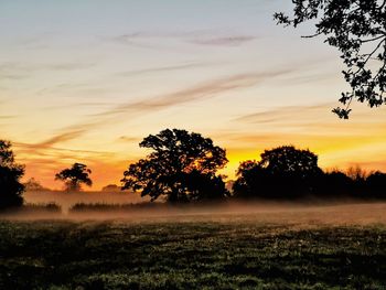 Silhouette trees on field against sky during sunset