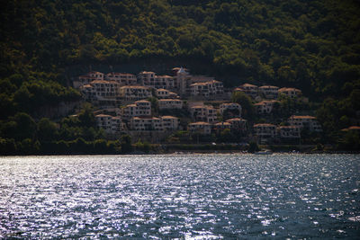 Buildings by sea against trees in city