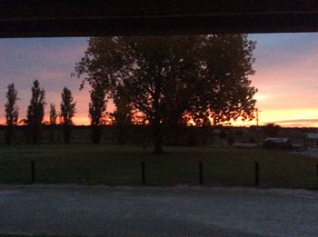 Silhouette trees on field against sky at sunset