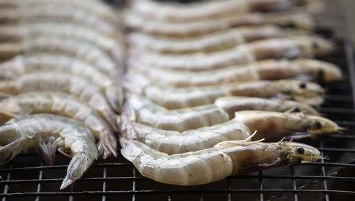 Grilled shrimp on a grill