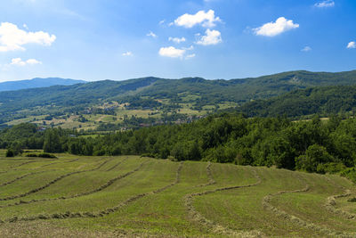 Scenic view of field against sky