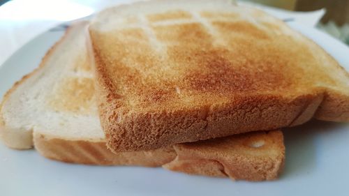 Close-up of bread in plate