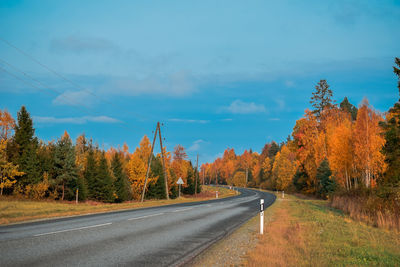 Road amidst trees against sky during autumn