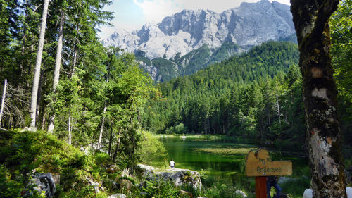 Scenic view of trees and mountains against sky