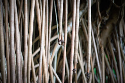 Full frame shot of rusty metal