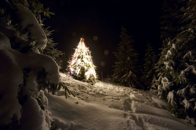 Illuminated christmas tree on snowy landscape at night christmas tree