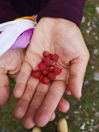 High angle view of hand holding strawberries