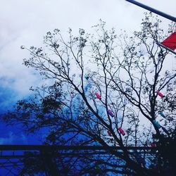 Low angle view of trees against sky