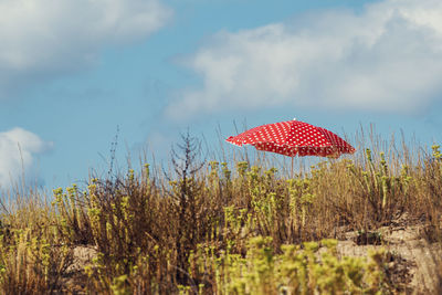 Low angle view of red flags against sky