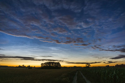 Scenic view of agricultural field against sky during sunset