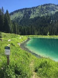 Scenic view of lake amidst trees