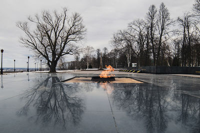 Bare trees by lake against sky