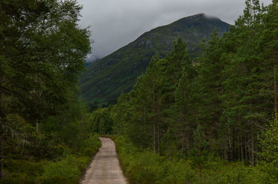 Dirt road amidst trees against sky