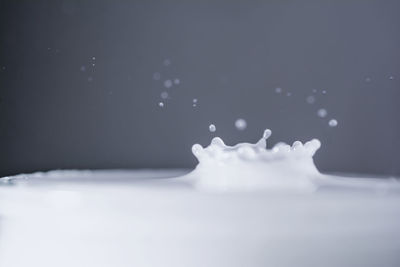 Close-up of water splashing against black background