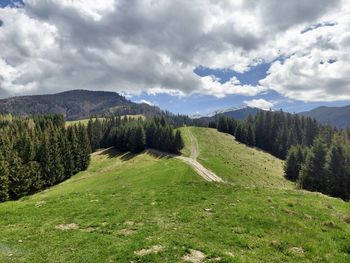Scenic view of field against sky
