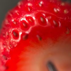 Close up of red water