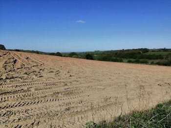 Scenic view of field against clear blue sky