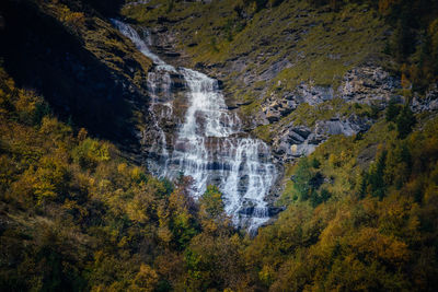 Scenic view of waterfall in forest