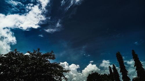 Low angle view of trees against blue sky