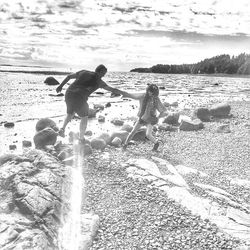 View of a dog on beach