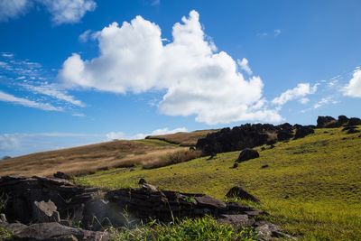 Scenic view of green landscape against sky