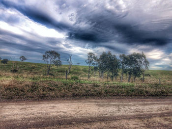 Trees on field against sky