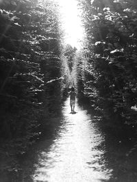 Man walking on road by trees against sky