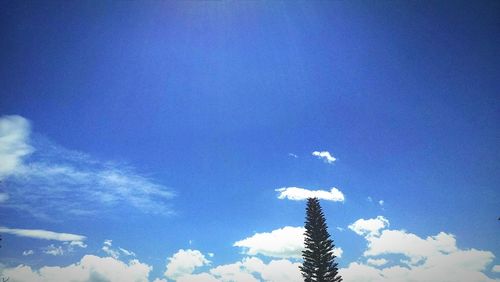 Low angle view of snow covered blue sky