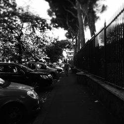 Cars parked on road