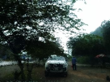 Rear view of people on street amidst trees