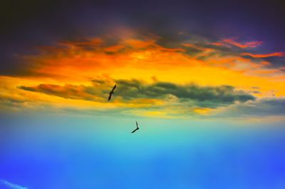 Low angle view of silhouette bird flying against sky during sunset