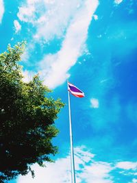 Low angle view of trees against blue sky