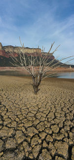 drought