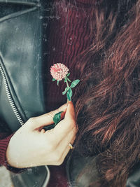 Close-up of woman hand holding flowering plant