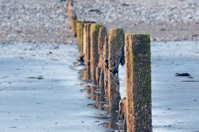 Close-up of wooden posts on beach