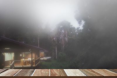 View of trees and plants in rainy season
