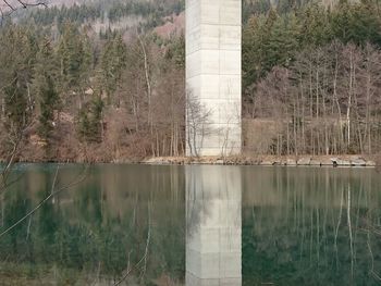 Reflection of trees in water