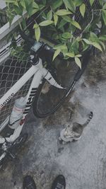 Low section of potted plants in yard