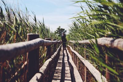 Rear view of woman walking on narrow boardwalk amidst crops against sky