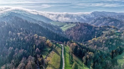 scenics - nature