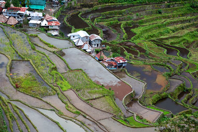 High angle view of people working on agricultural field