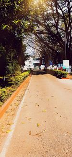 Empty road along trees in park