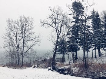 Bare trees on snow covered landscape against sky