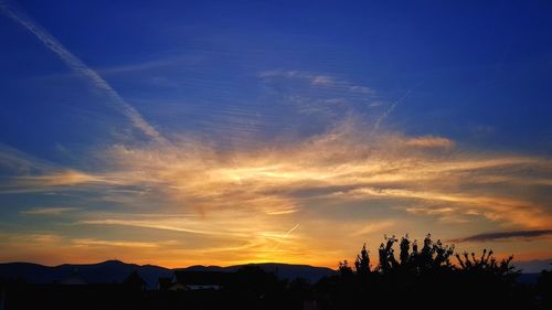 Silhouette trees against sky during sunset