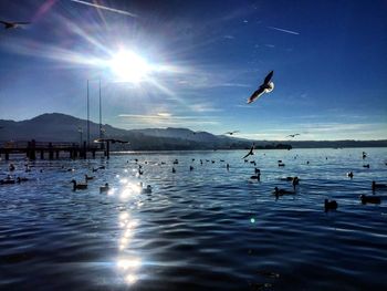 Sun shining over sea