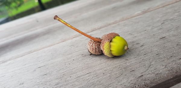 High angle view of fruit on table